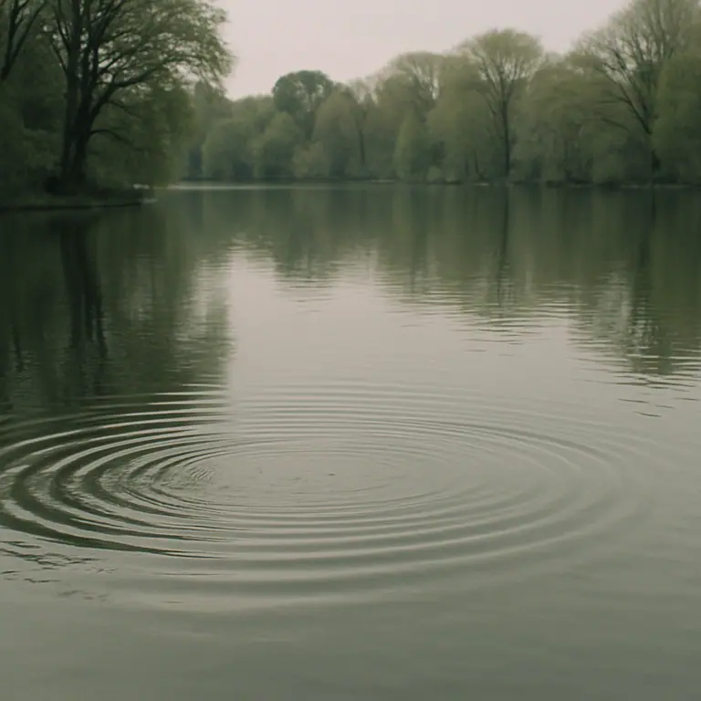 Ripples spreading on a still lake